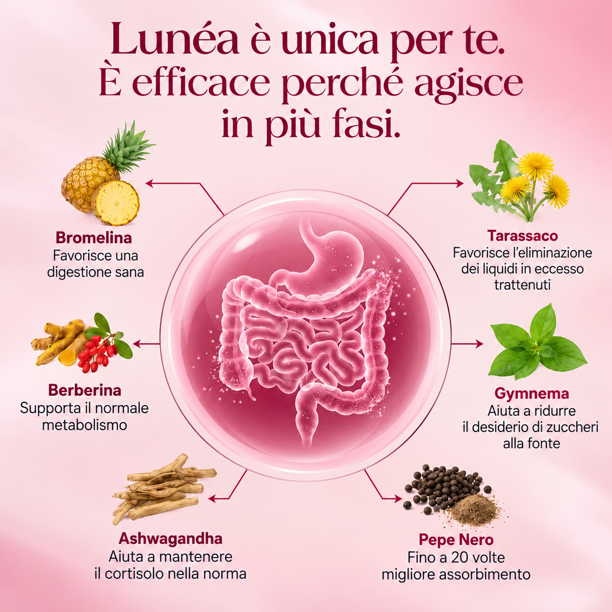 Lunea 2